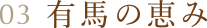 03 有馬の恵み